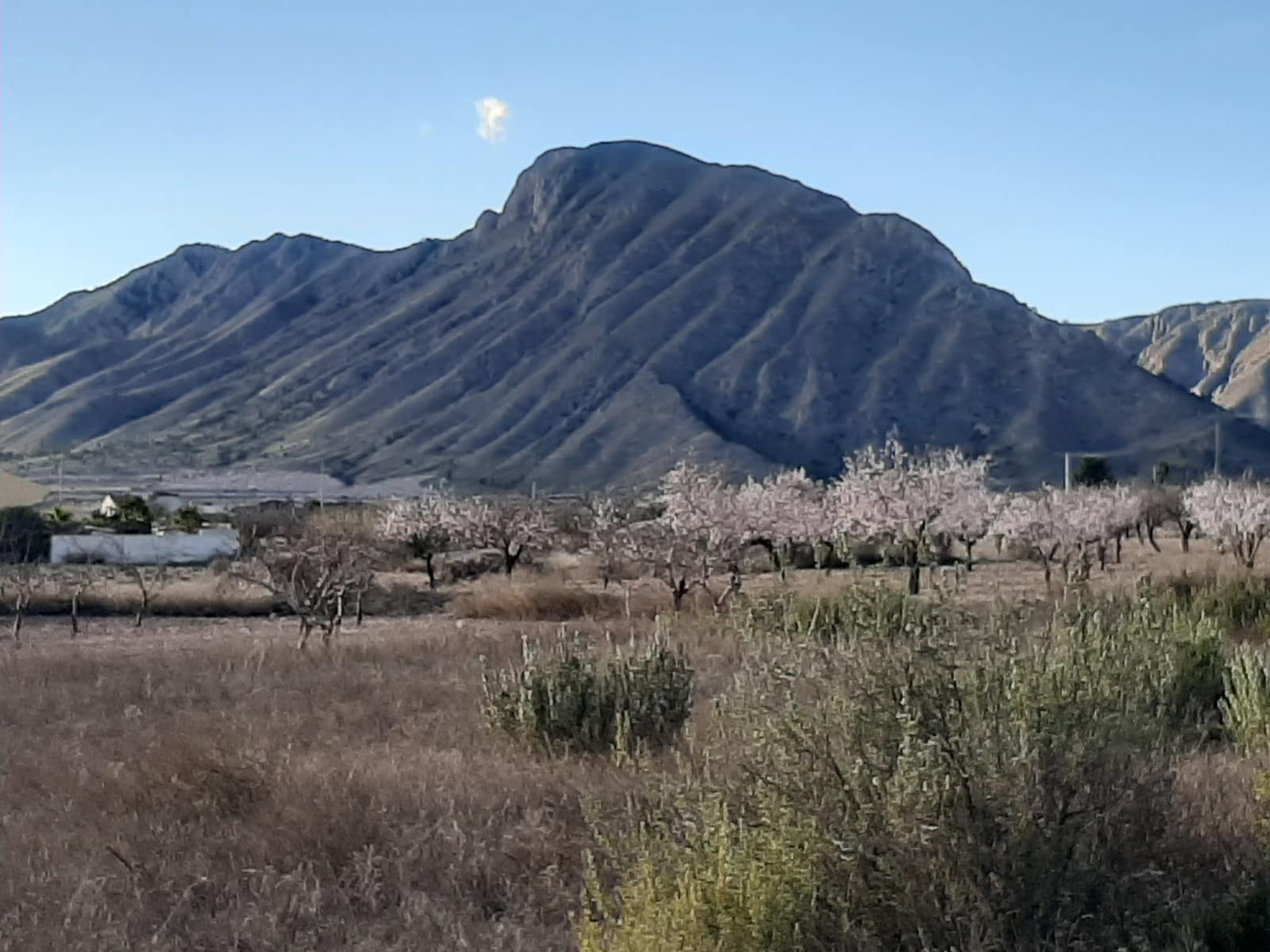 6 Zimmer Finca/Landgut zu verkaufen in Hondon de los Frailes mit Pool Garage - 850.000 € (Ref: 9588237)