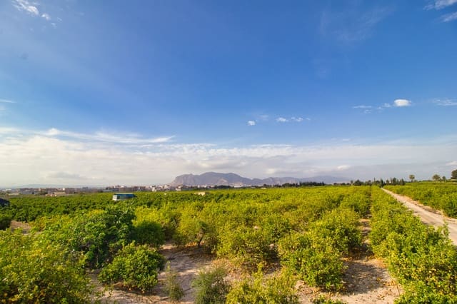 Area Edificabile in vendita in Albatera - 224.000 € (Rif: 9588251)