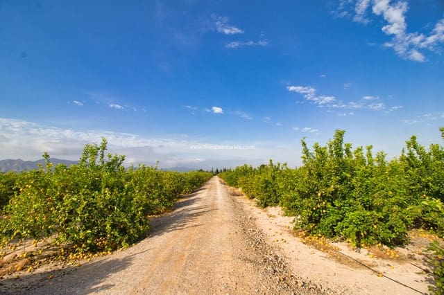 Byggetomt til salgs i Albatera - € 224 000 (Ref: 9588251)