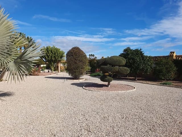 4 sovrum Finca/Hus på landet till salu i Catral med pool garage - 369 000 € (Ref: 9594503)