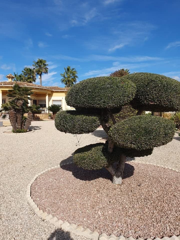 4 Zimmer Finca/Landgut zu verkaufen in Alicante / Alacant Stadt mit Pool Garage - 369.000 € (Ref: 9602950)