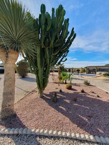 4 quarto Quinta/Casa Rural para venda em Alicante cidade com piscina garagem - 369 000 € (Ref: 9602951)