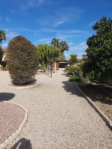 4 sovrum Finca/Hus på landet till salu i Catral med pool garage - 369 000 € (Ref: 9602952)