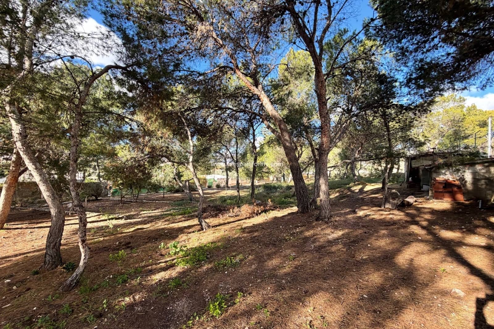 3 bedroom Finca/Country House for sale in La Romana with pool garage - € 280,000 (Ref: 9610064)