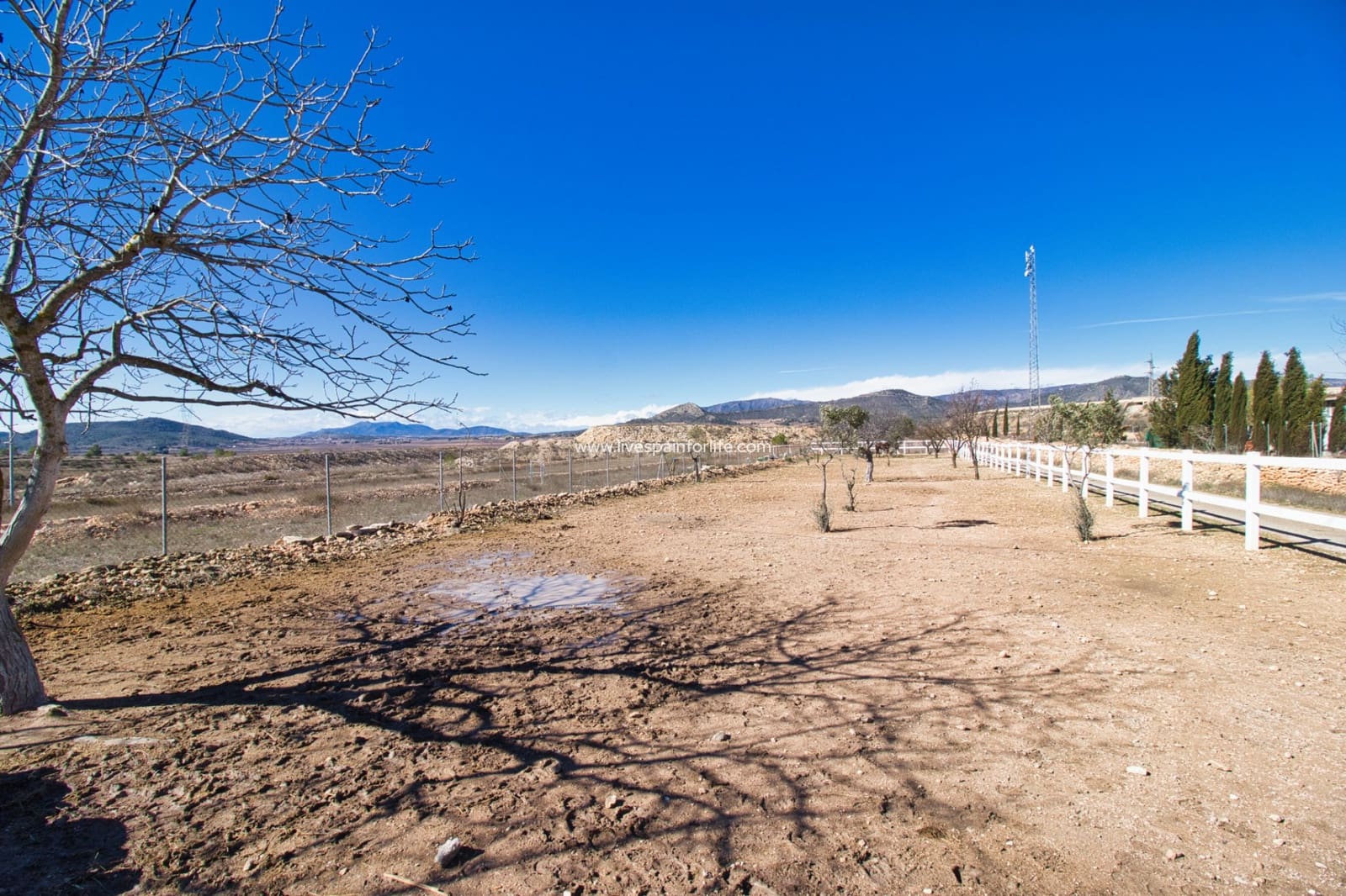 2 bedroom Business for sale in Monovar / Monover with pool garage - € 200,000 (Ref: 9610069)