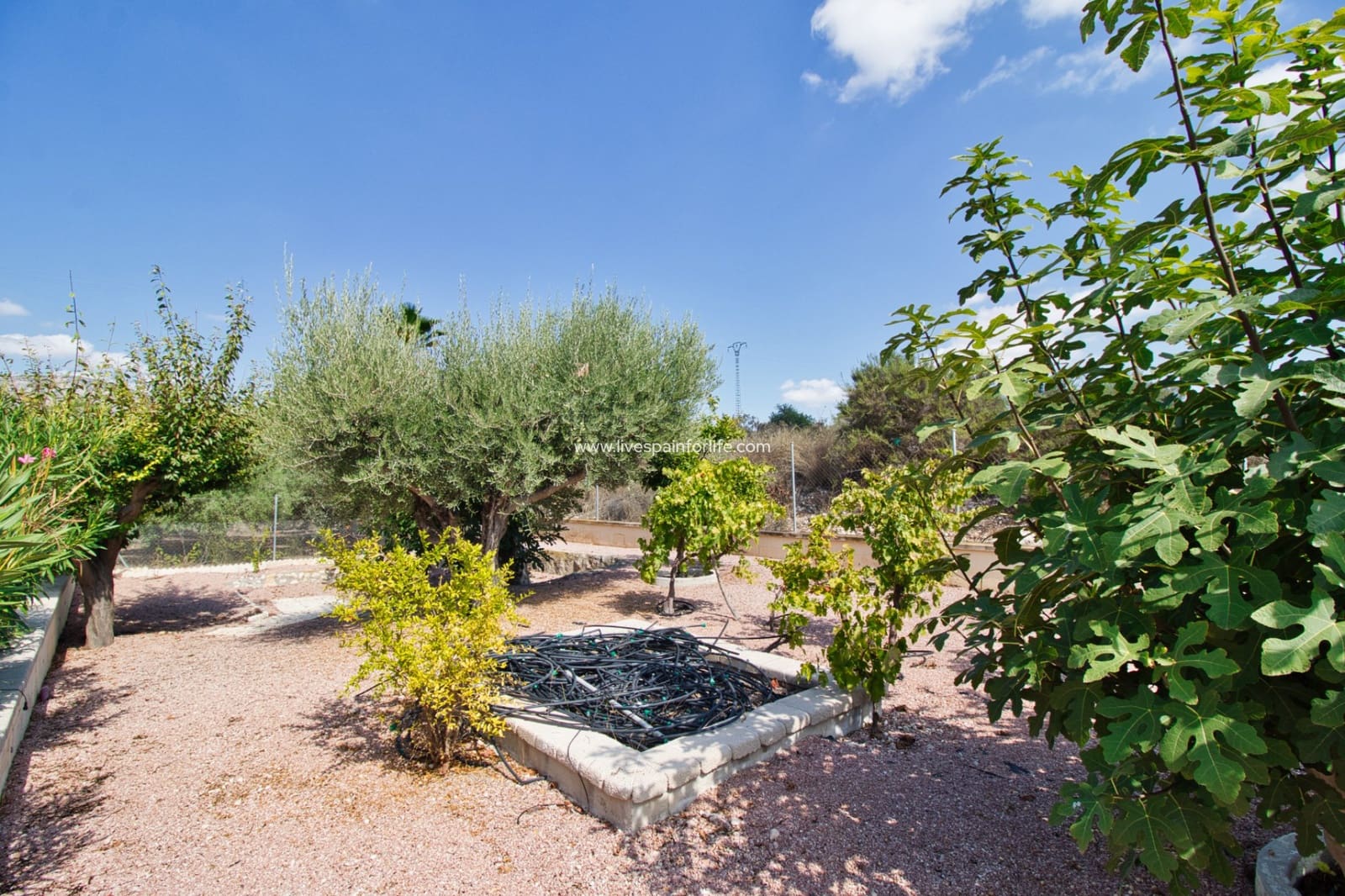 3 bedroom Finca/Country House for sale in Albatera with pool garage - € 379,995 (Ref: 9614037)