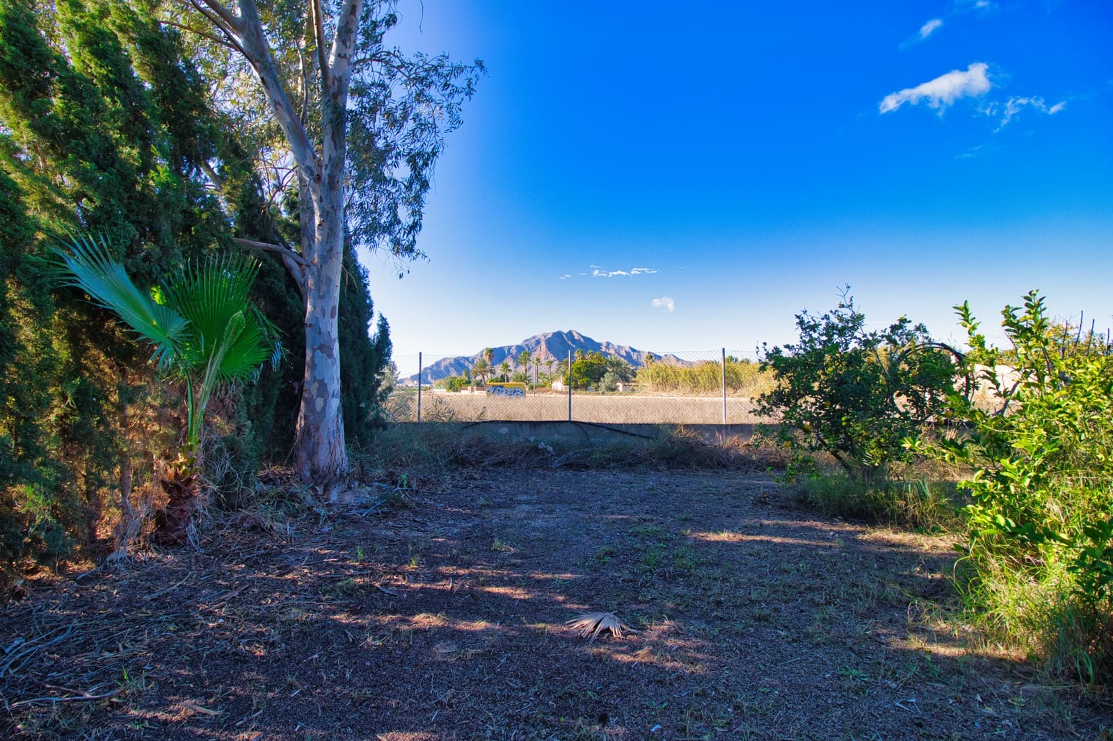 3 sypialnia Finka/Dom wiejski na sprzedaż w Callosa de Segura z basenem - 480 000 € (Ref: 9614038)