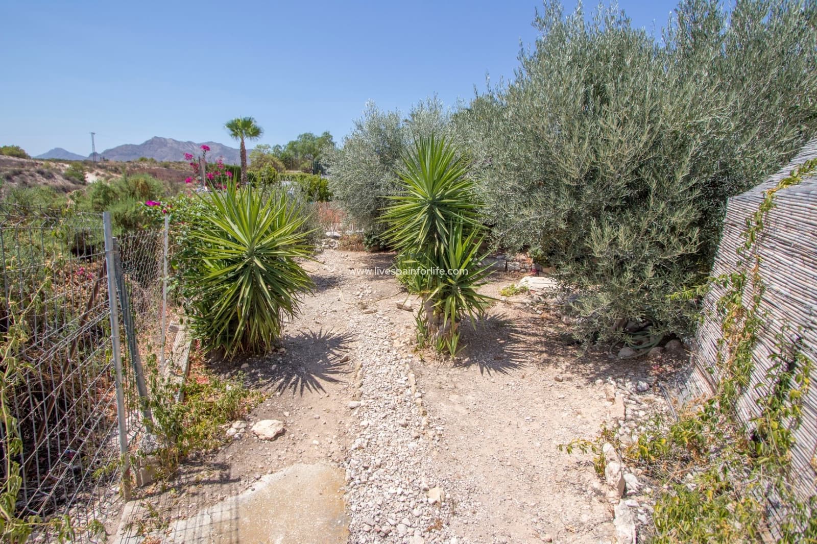 4 bedroom Finca/Country House for sale in Albatera with pool garage - € 415,000 (Ref: 9614043)