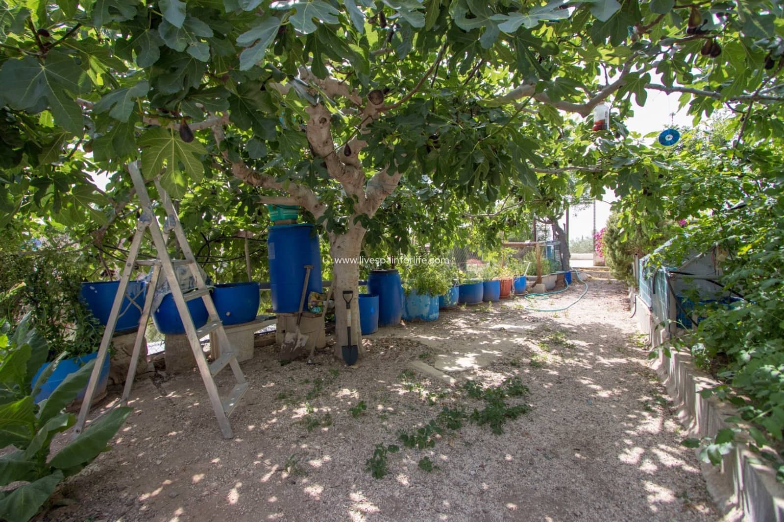 3 bedroom Finca/Country House for sale in Albatera with pool garage - € 260,000 (Ref: 9628266)