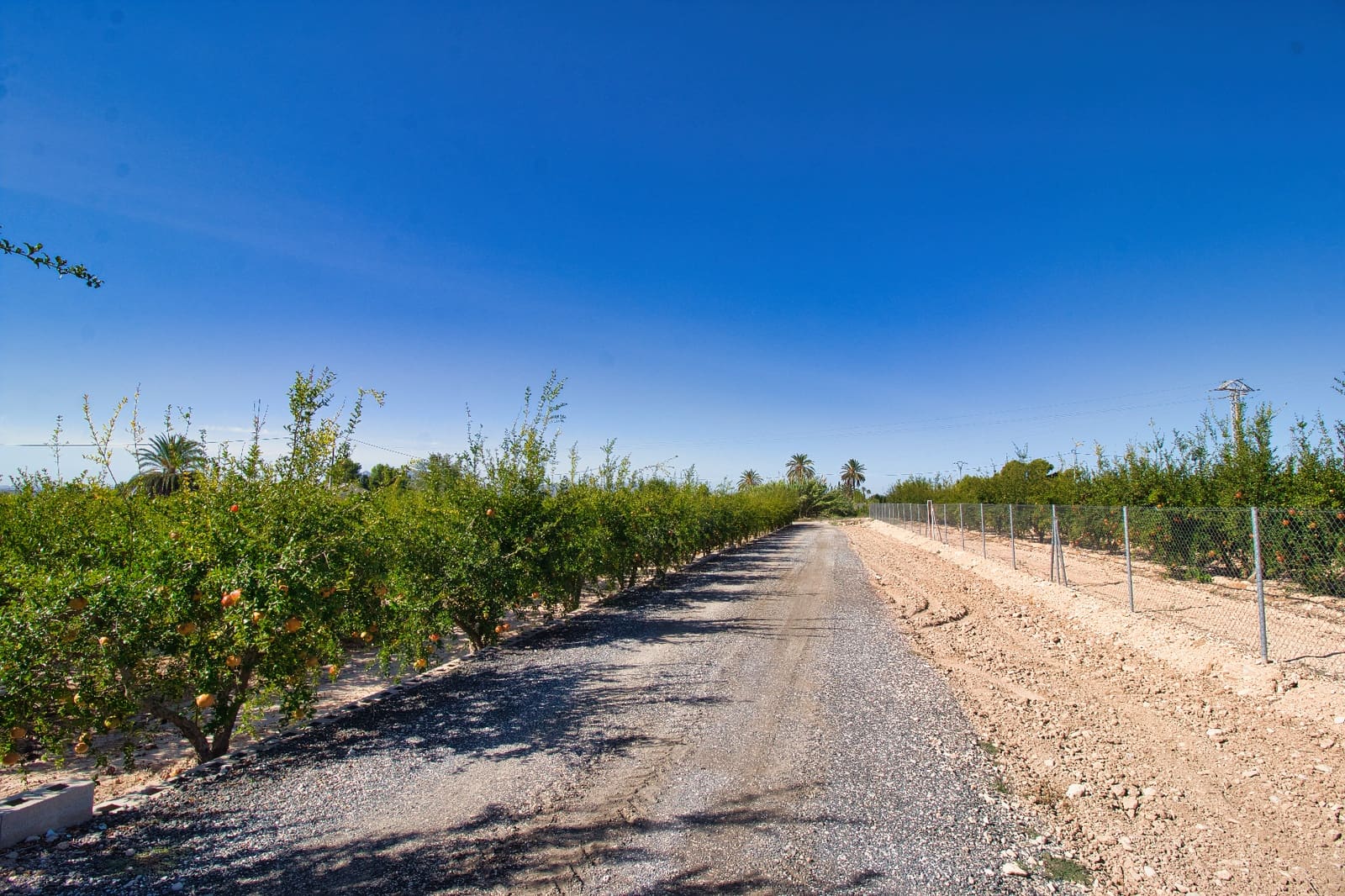 4 Zimmer Finca/Landgut zu verkaufen in Crevillente / Crevillent mit Pool - 495.000 € (Ref: 9628271)