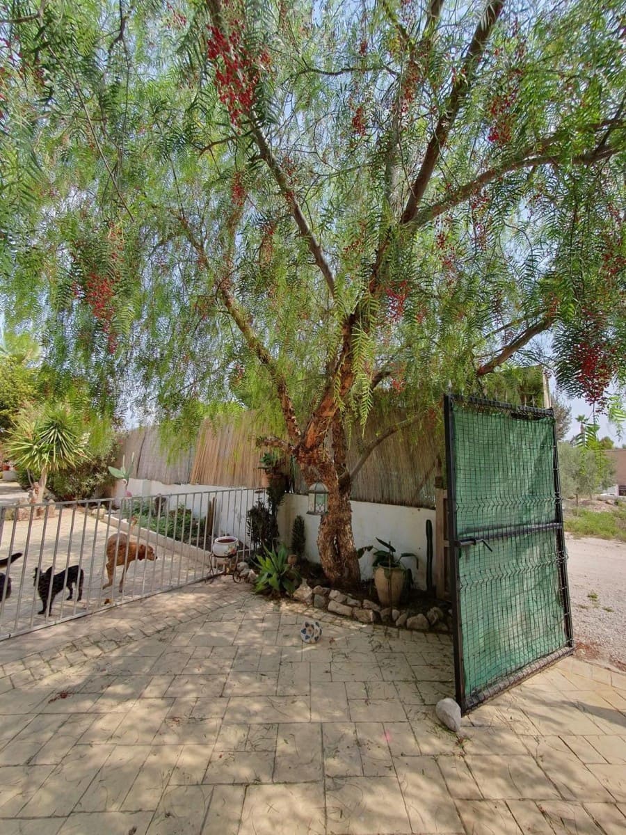 3 bedroom Finca/Country House for sale in Catral - € 265,000 (Ref: 9628272)