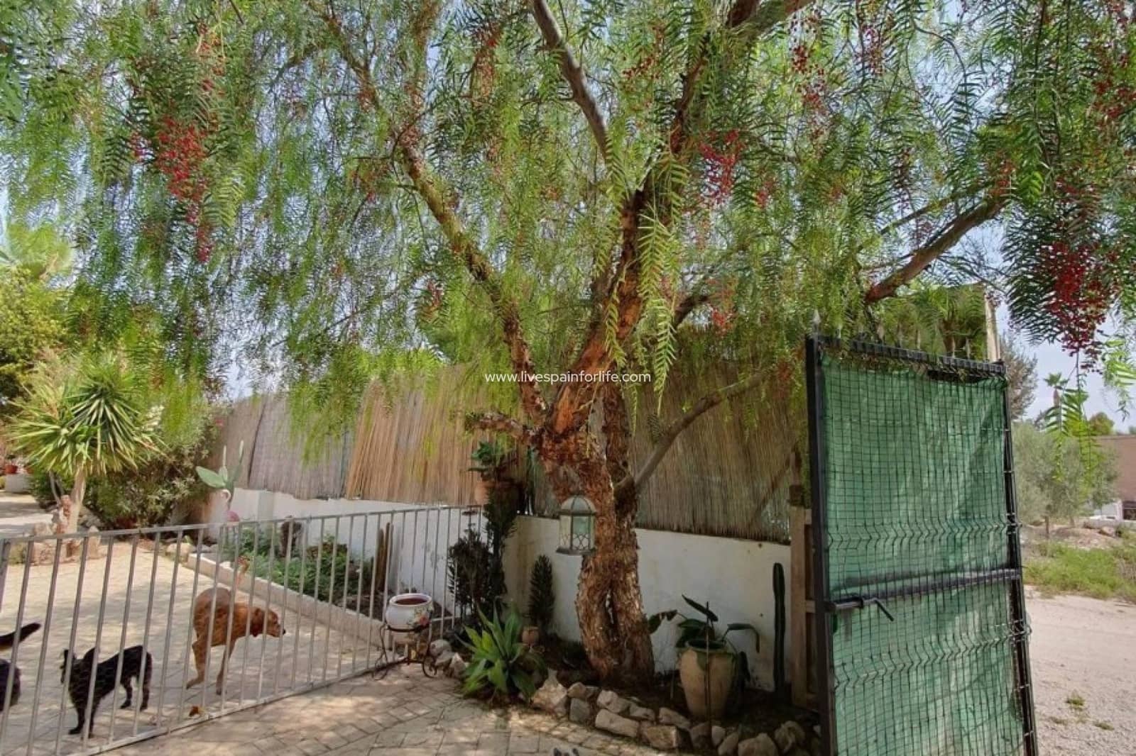 3 bedroom Finca/Country House for sale in Catral with pool - € 265,000 (Ref: 9628272)