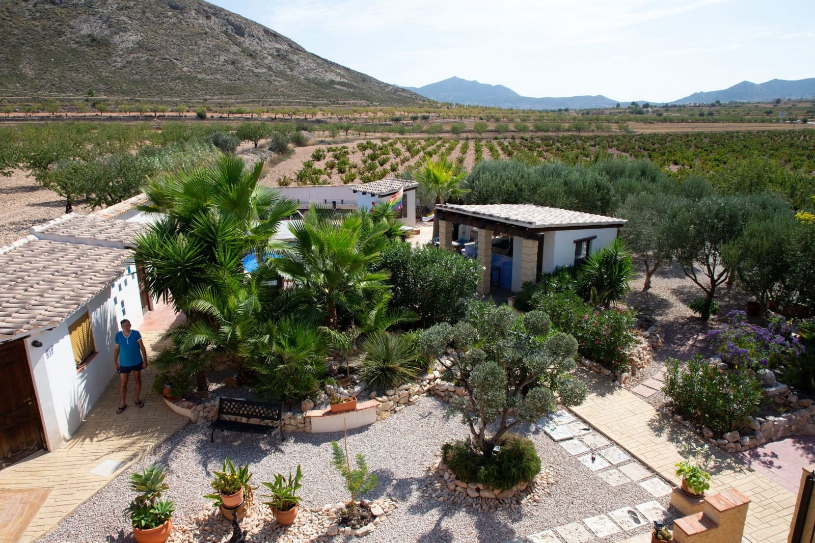 Finca/Casa Rural de 6 habitaciones en Barbarroja en venta con piscina garaje - 850.000 € (Ref: 9631788)