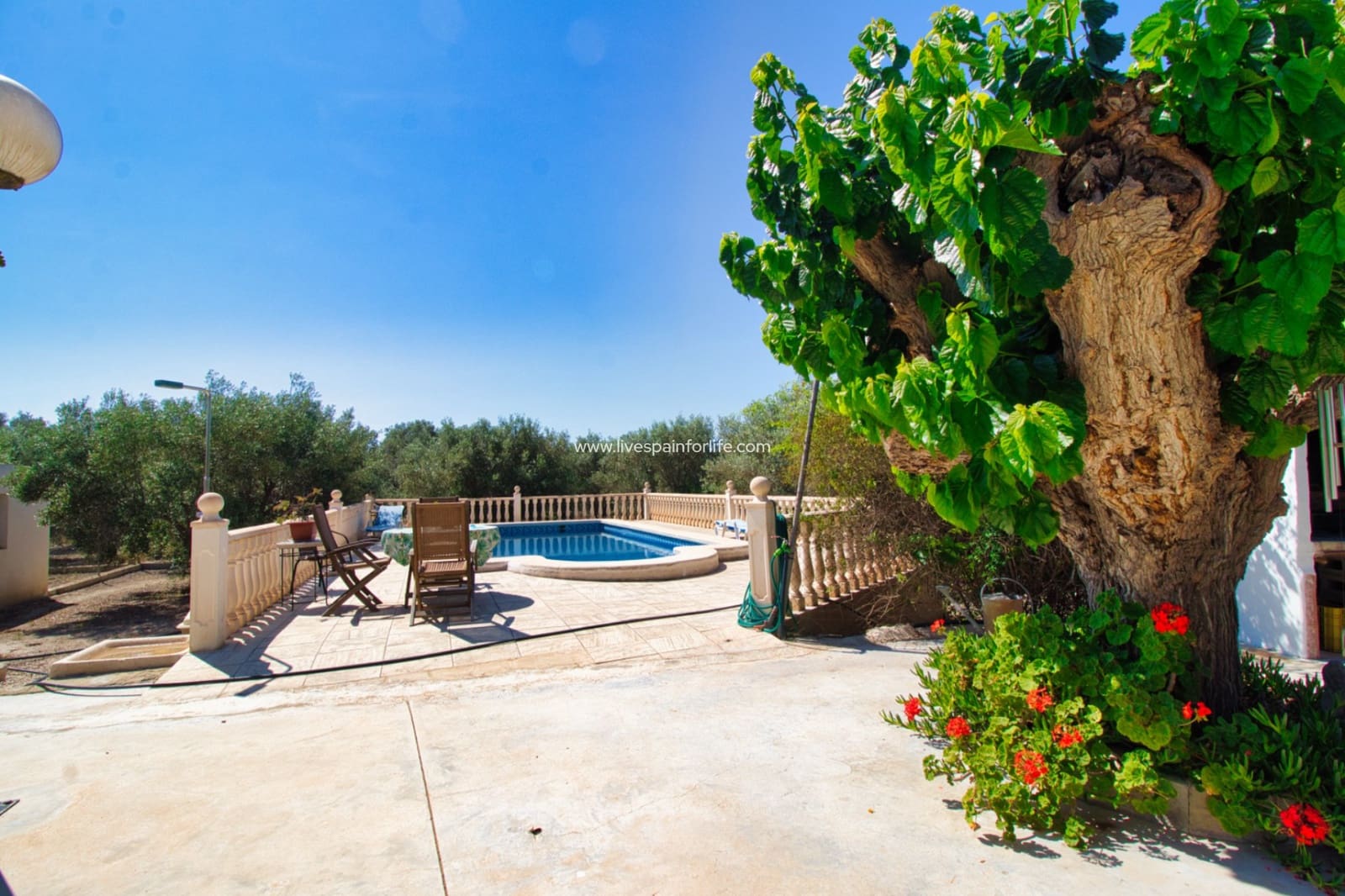 3 bedroom Finca/Country House for sale in Dolores with pool garage - € 495,000 (Ref: 9631793)
