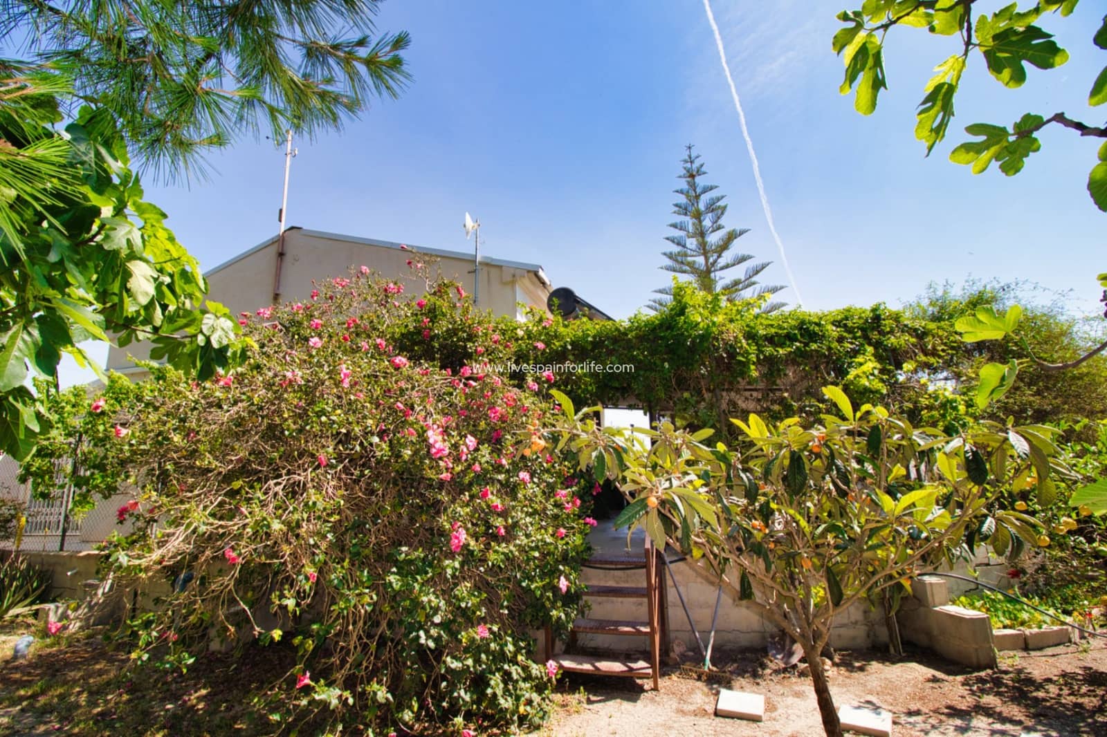 3 bedroom Finca/Country House for sale in Dolores with pool garage - € 495,000 (Ref: 9631793)