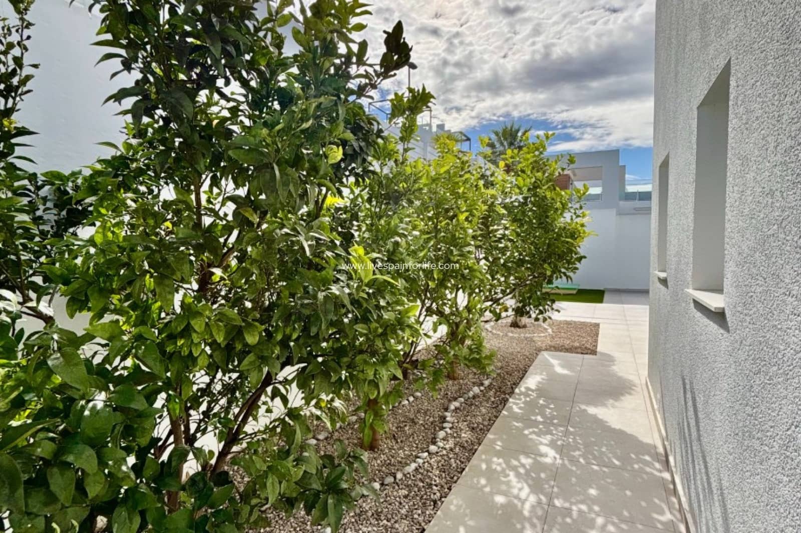 Chalet de 3 habitaciones en Benijófar en venta con piscina garaje - 569.500 € (Ref: 9650411)