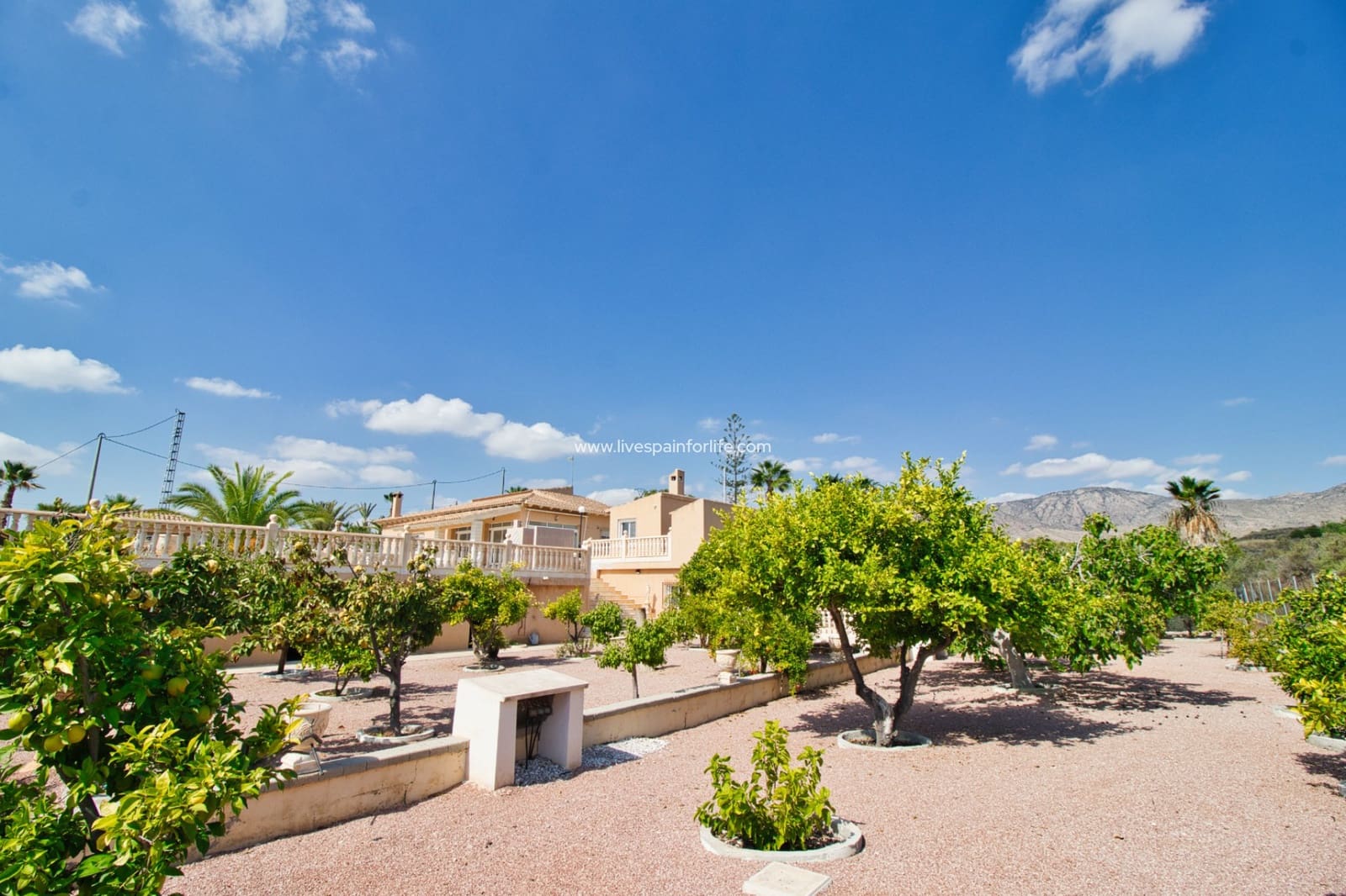 Finca/Casa Rural de 3 habitaciones en Albatera en venta con piscina garaje - 379.995 € (Ref: 9653147)