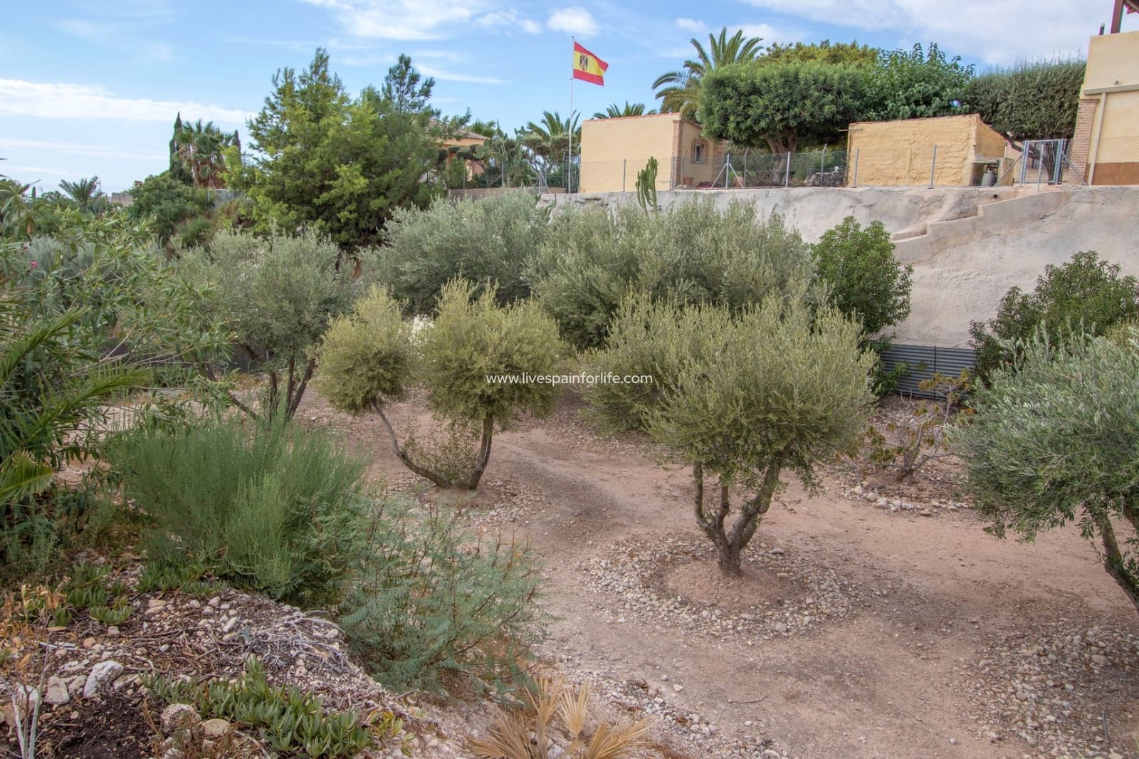 7 camera da letto Finca/Casa di Campagna in vendita in Albatera con piscina garage - 390.000 € (Rif: 9653158)