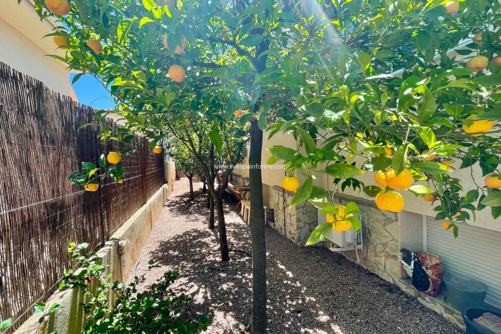 Chalet de 4 habitaciones en Hondón de las Nieves en venta con piscina - 359.950 € (Ref: 9664072)