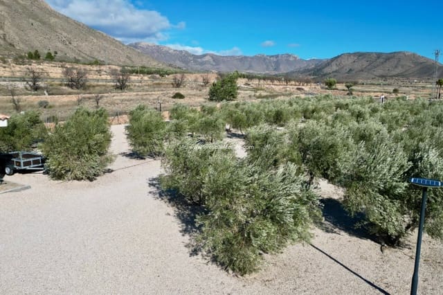 3 sypialnia Willa na sprzedaż w Macisvenda, Abanilla z basenem garażem - 374 950 € (Ref: 9664076)