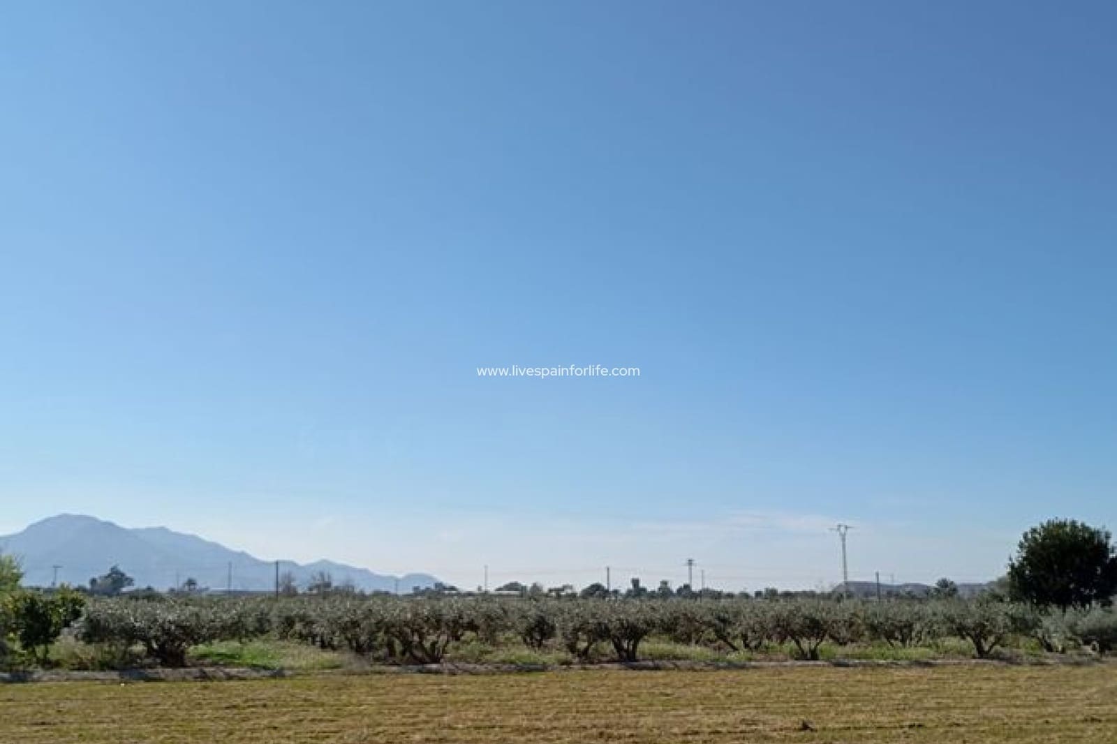 Casa de 2 habitaciones en Catral en venta con piscina - 159.995 € (Ref: 9664238)