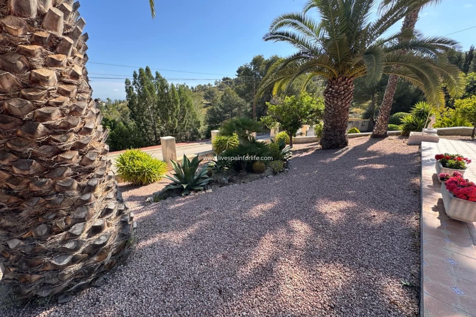 3 bedroom Villa for sale in Algorfa with pool garage - € 585,000 (Ref: 9664260)