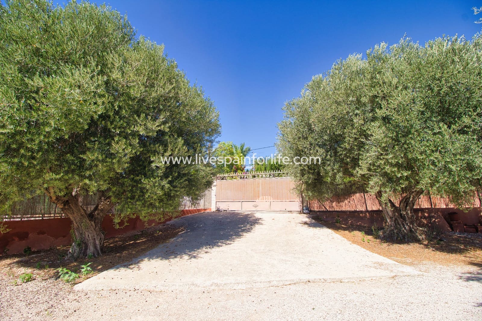 6 bedroom Finca/Country House for sale in Albatera with pool - € 280,000 (Ref: 9667150)