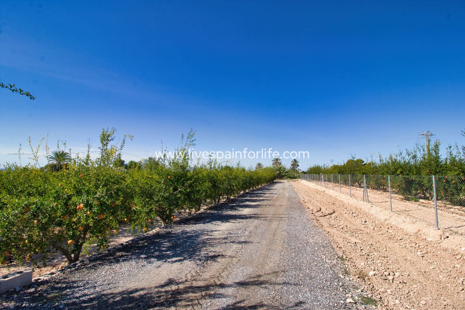 4 soveværelse Finca/Landehus til salg i Crevillente / Crevillent med swimmingpool garage - € 495.000 (Ref: 9672254)