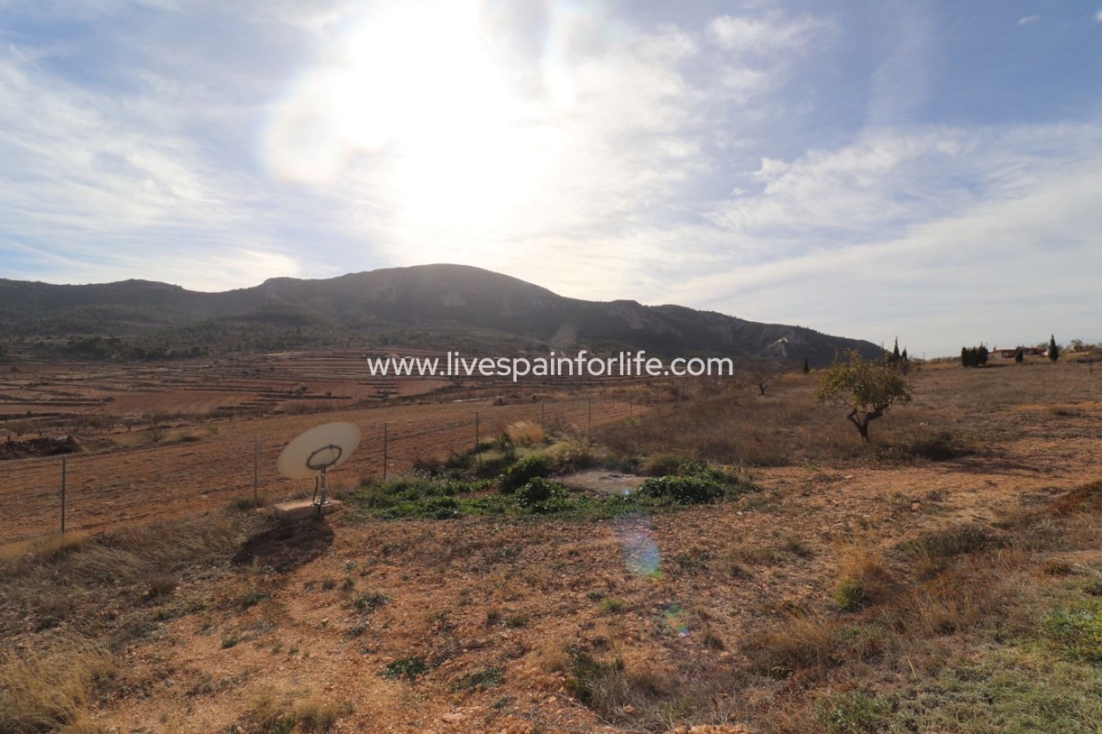 Finca/Casa Rural de 4 habitaciones en La Romana en venta con piscina - 379.000 € (Ref: 9675951)