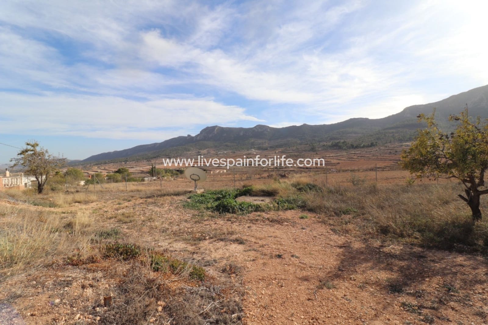 Finca/Casa Rural de 4 habitaciones en La Romana en venta con piscina - 379.000 € (Ref: 9675951)