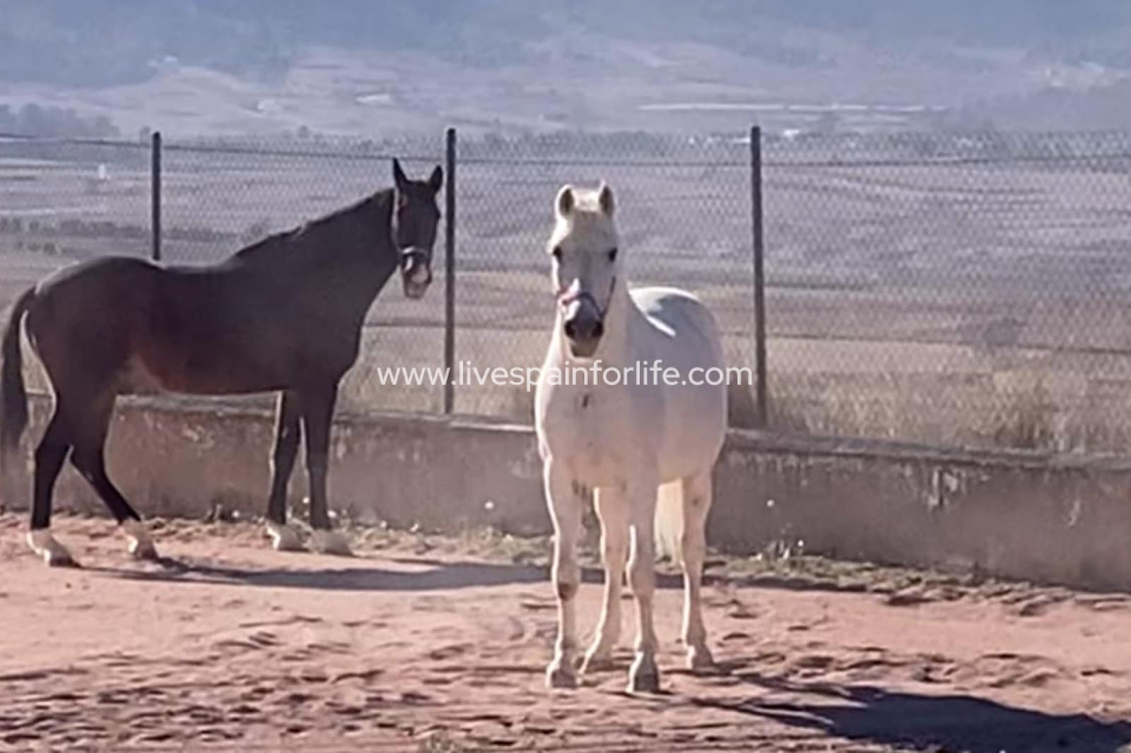 3 sovrum Finca/Hus på landet till salu i Torre del Rico - 510 000 € (Ref: 9684229)