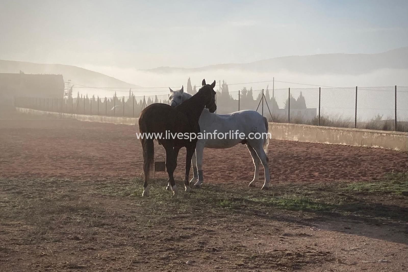 3 sovrum Finca/Hus på landet till salu i Torre del Rico - 510 000 € (Ref: 9684229)