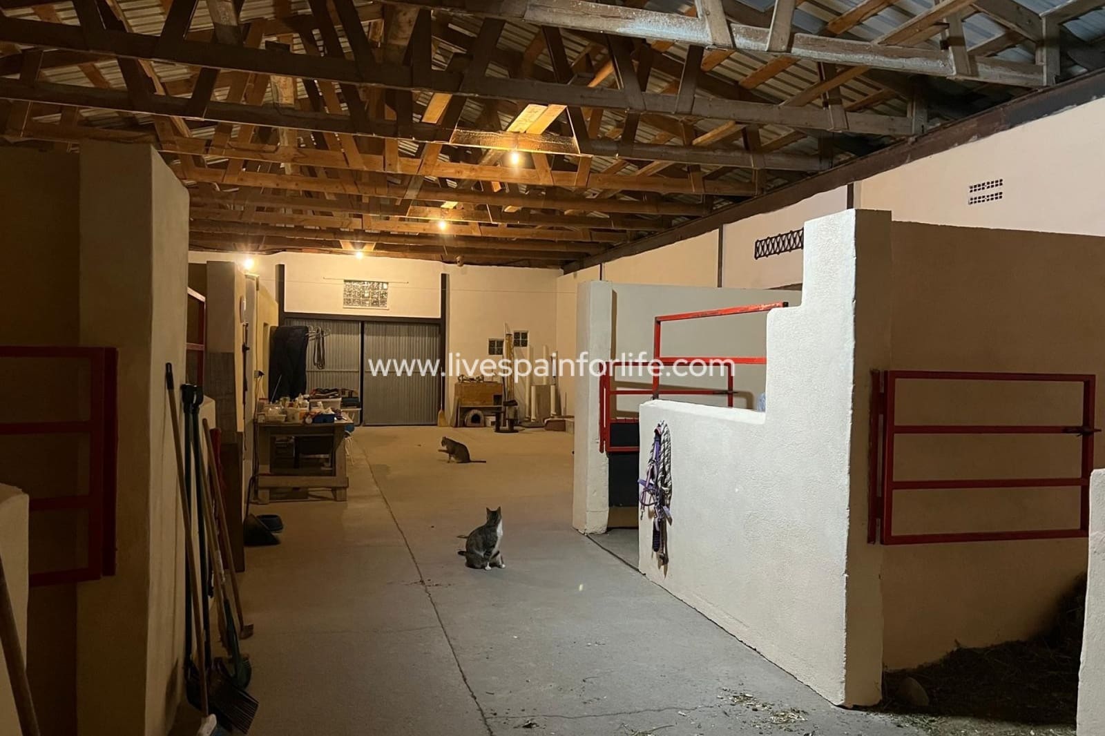 3 sovrum Finca/Hus på landet till salu i Torre del Rico - 510 000 € (Ref: 9684229)