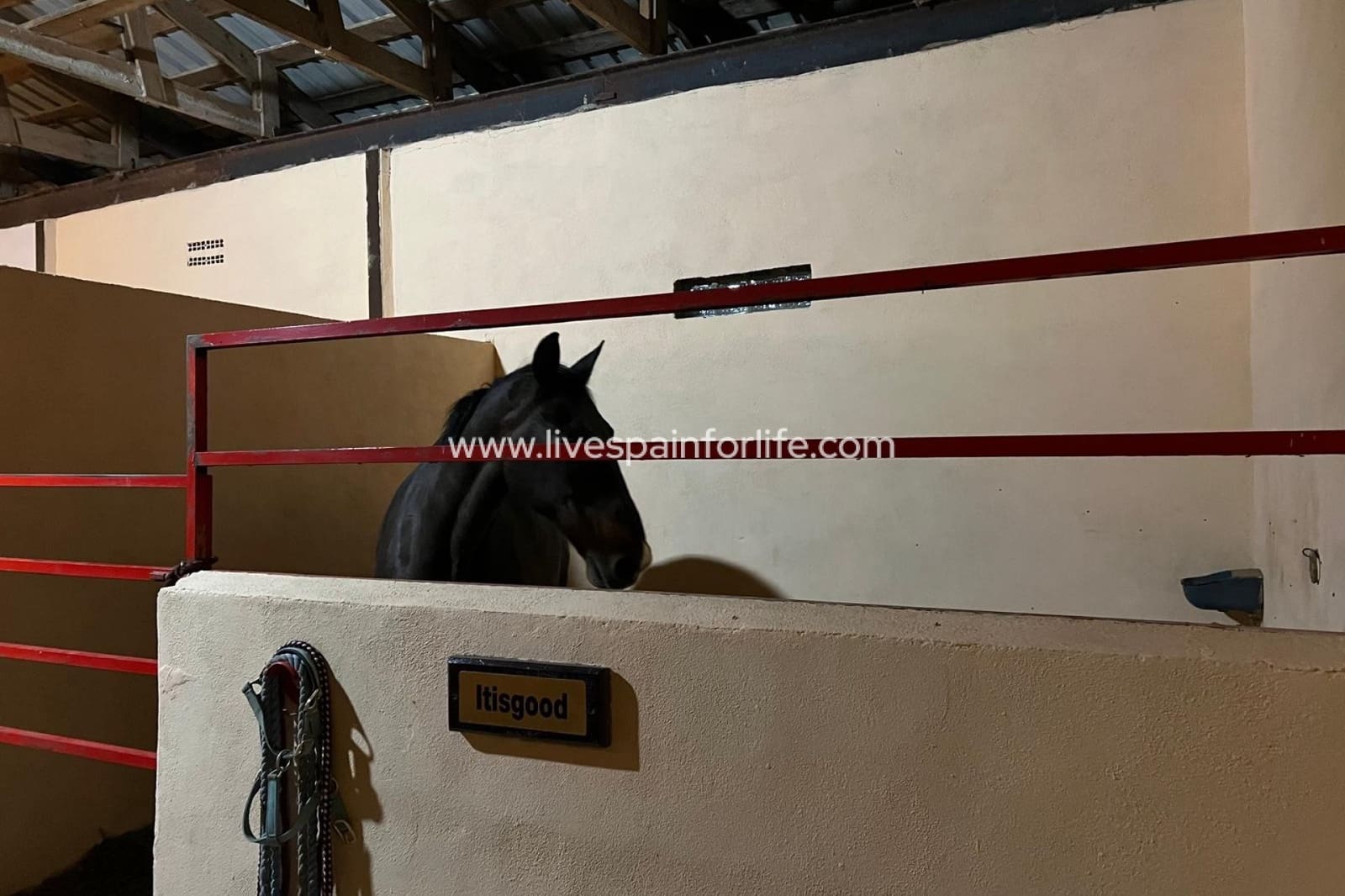 3 sovrum Finca/Hus på landet till salu i Torre del Rico - 510 000 € (Ref: 9684229)