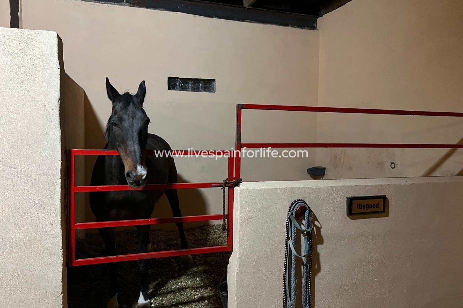 3 sovrum Finca/Hus på landet till salu i Torre del Rico - 510 000 € (Ref: 9684230)