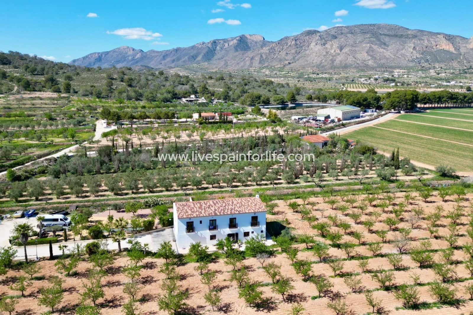 7 sypialnia Finka/Dom wiejski na sprzedaż w Hondon de las Nieves z basenem garażem - 725 000 € (Ref: 9684241)