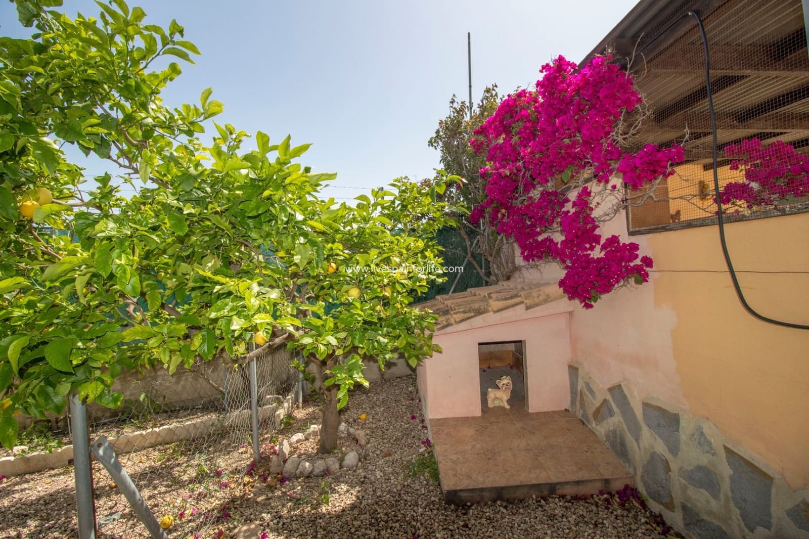 3 bedroom Finca/Country House for sale in Albatera with pool - € 299,995 (Ref: 9685160)