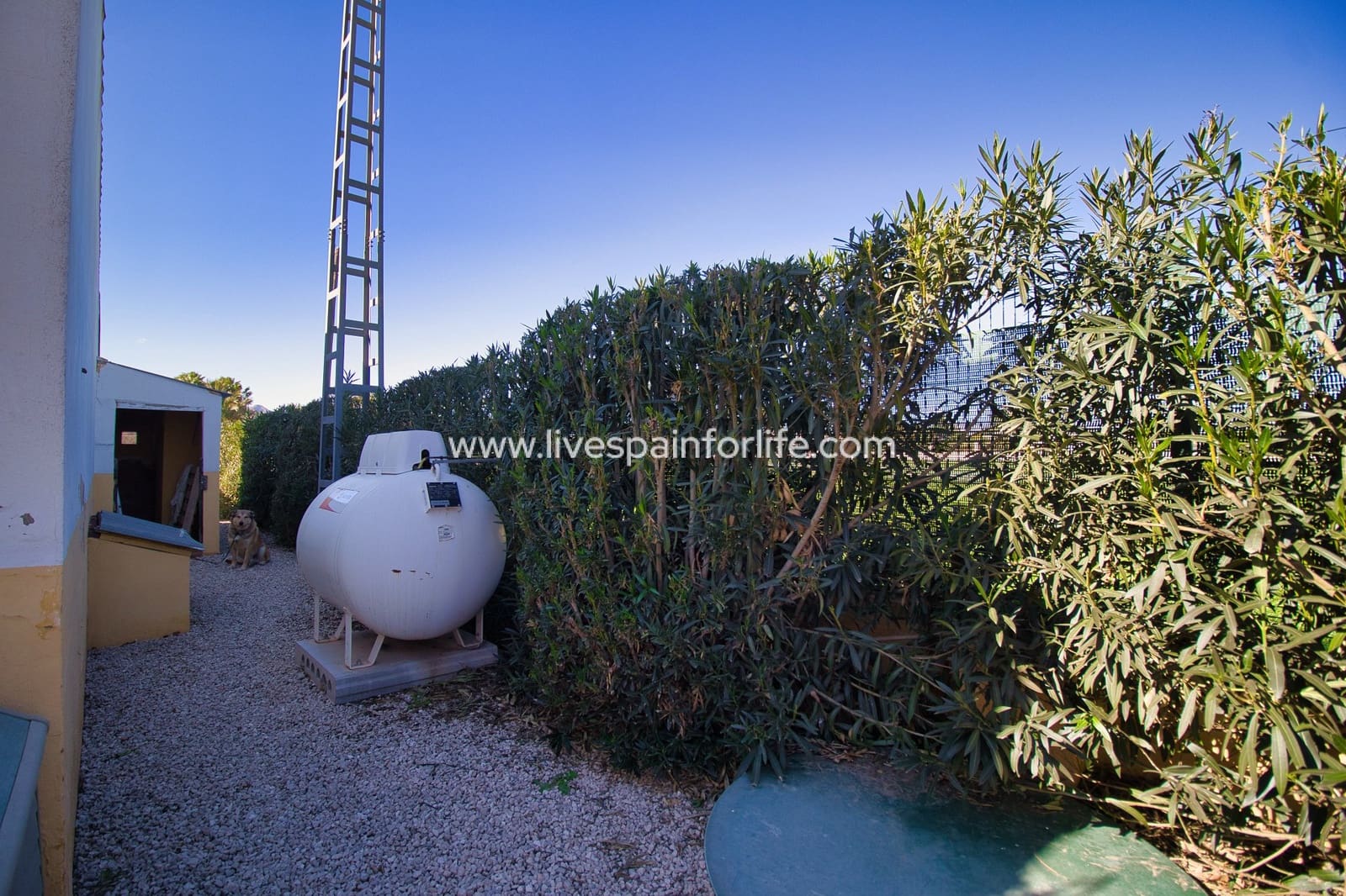 4 chambre Finca/Maison de Campagne à vendre à Dolores avec piscine - 385 000 € (Ref: 9685163)