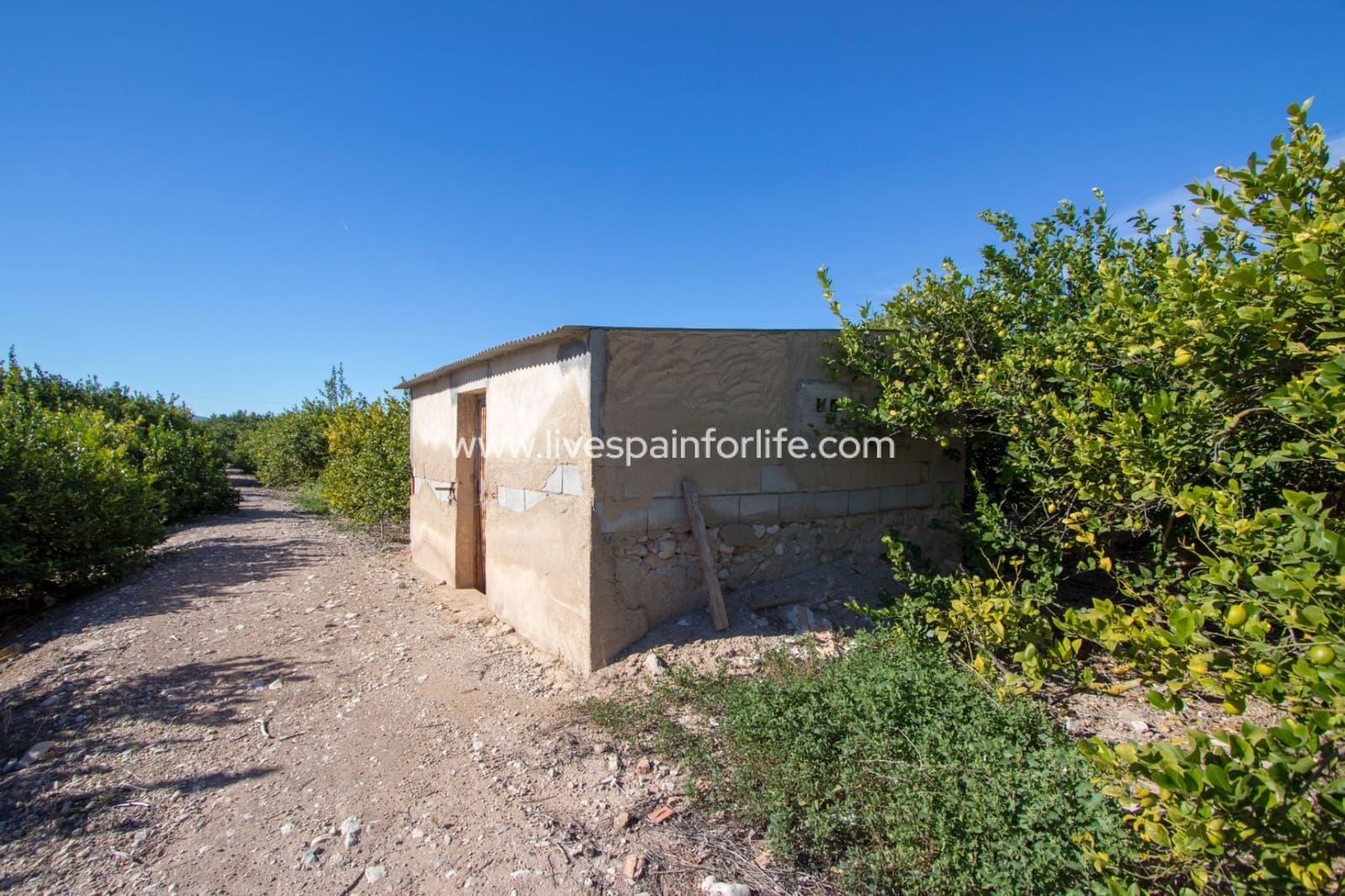 4 quarto Quinta/Casa Rural para venda em Albatera com piscina - 425 000 € (Ref: 9685165)