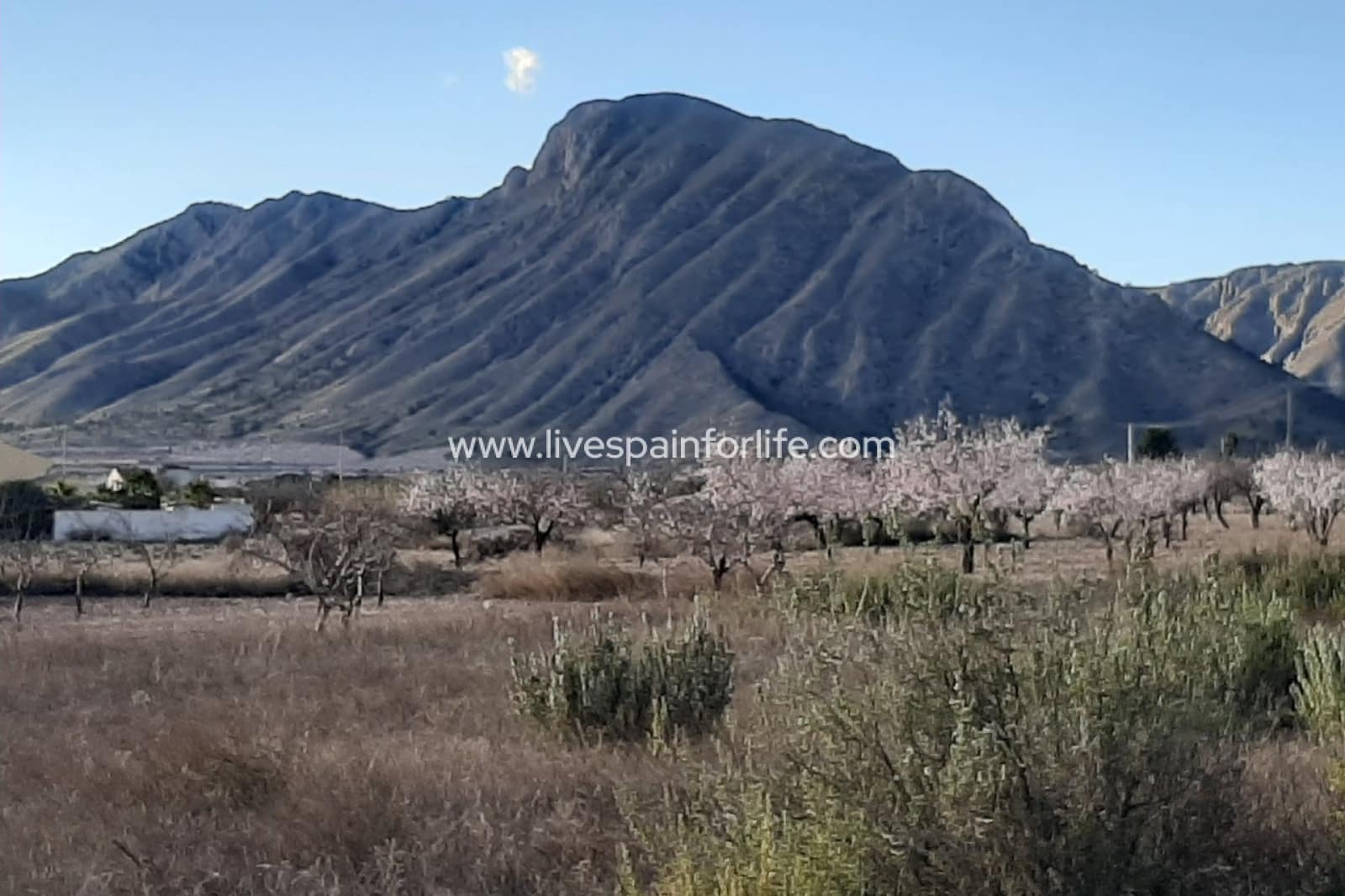 6 slaapkamer Finca/Landhuis te koop in Barbarroja met zwembad garage - € 850.000 (Ref: 9708048)