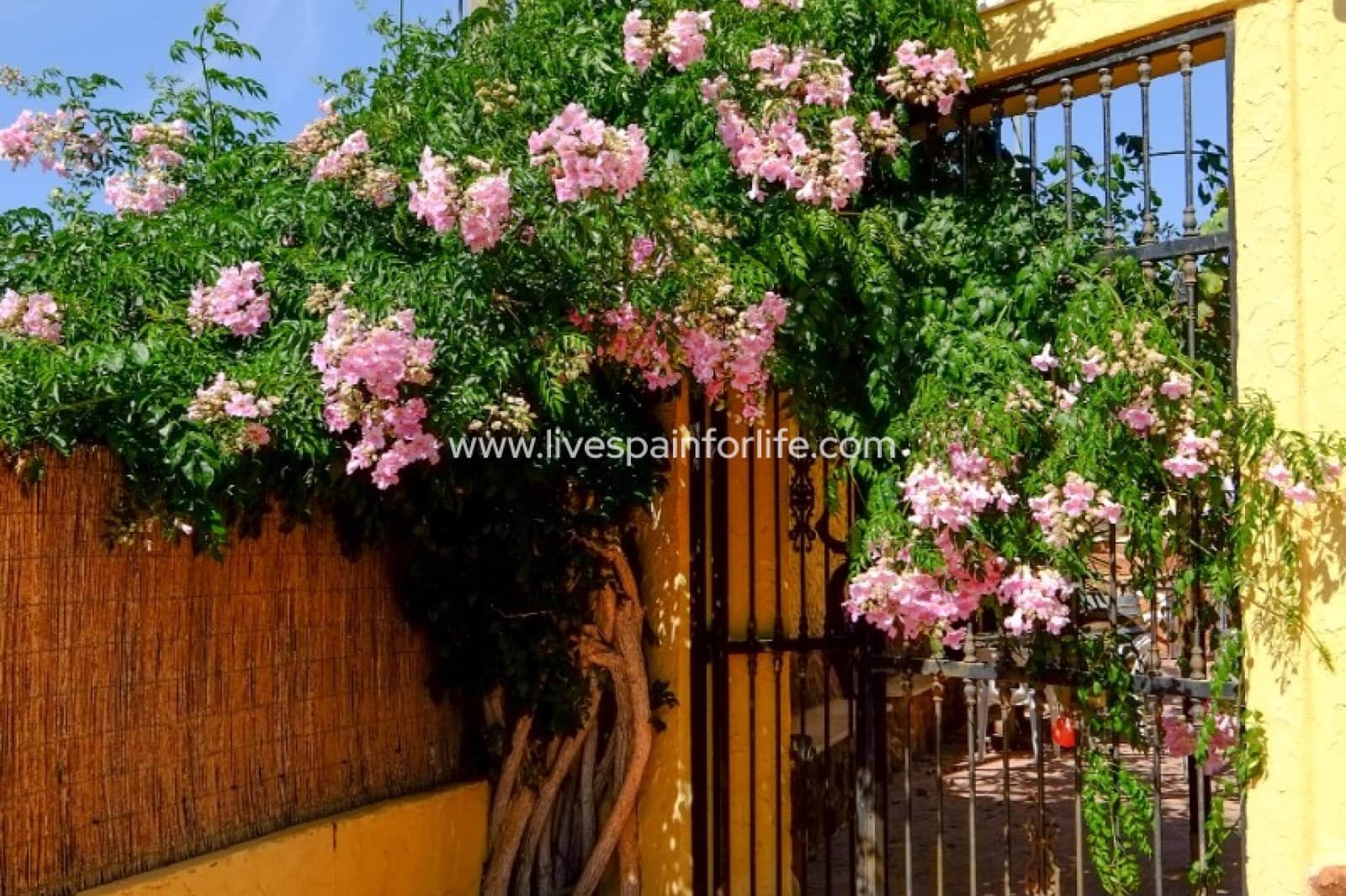 6 slaapkamer Finca/Landhuis te koop in Barbarroja met zwembad garage - € 850.000 (Ref: 9708048)