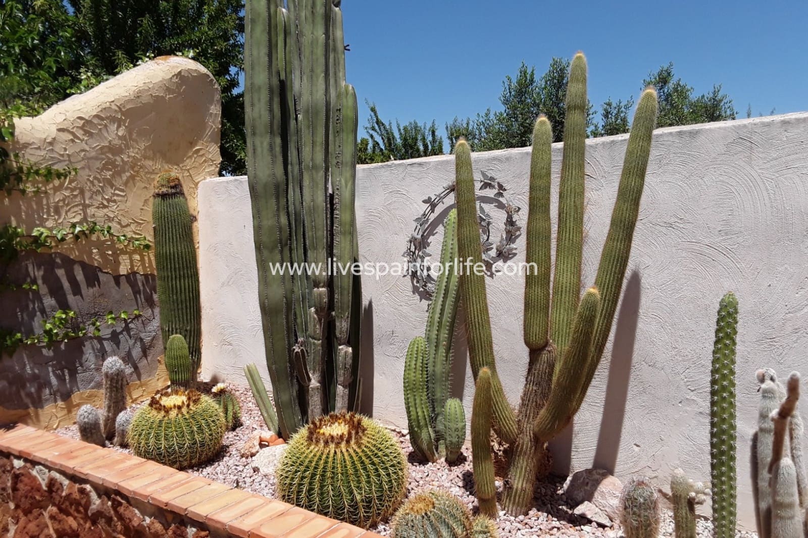 6 slaapkamer Finca/Landhuis te koop in Barbarroja met zwembad garage - € 850.000 (Ref: 9708048)