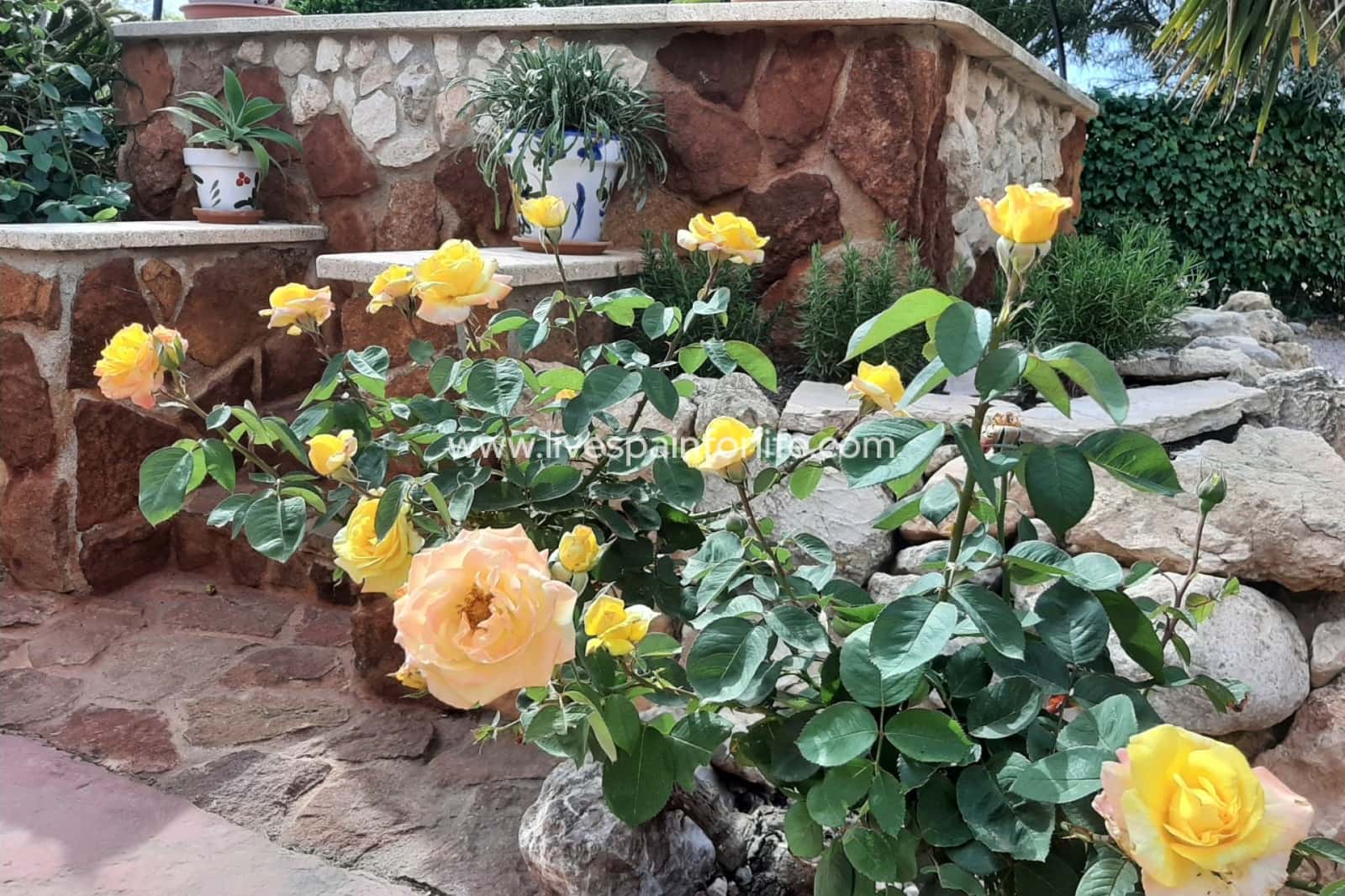 6 slaapkamer Finca/Landhuis te koop in Barbarroja met zwembad garage - € 850.000 (Ref: 9708048)