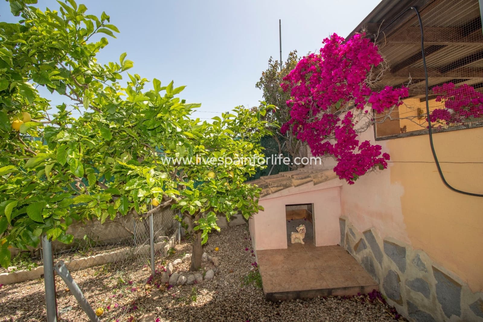 3 soverom Finca/Herregård til salgs i Alicante by med svømmebasseng - € 299 995 (Ref: 9713404)