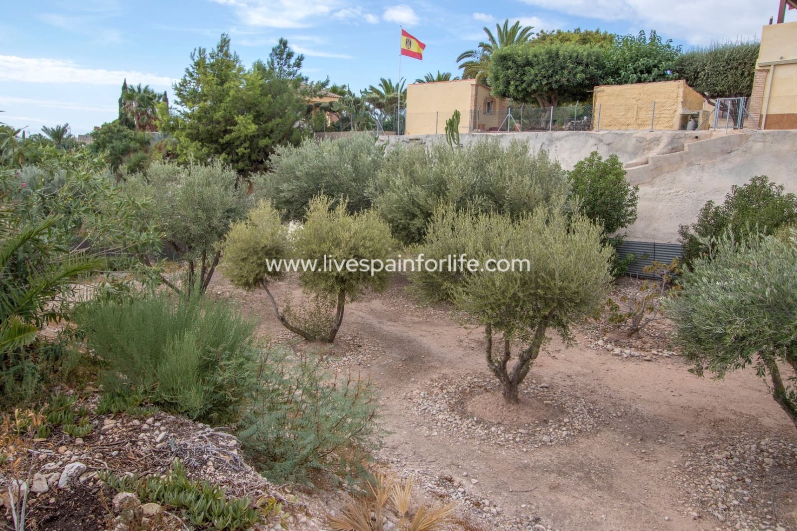 7 camera da letto Finca/Casa di Campagna in vendita in Albatera con piscina garage - 390.000 € (Rif: 9713687)