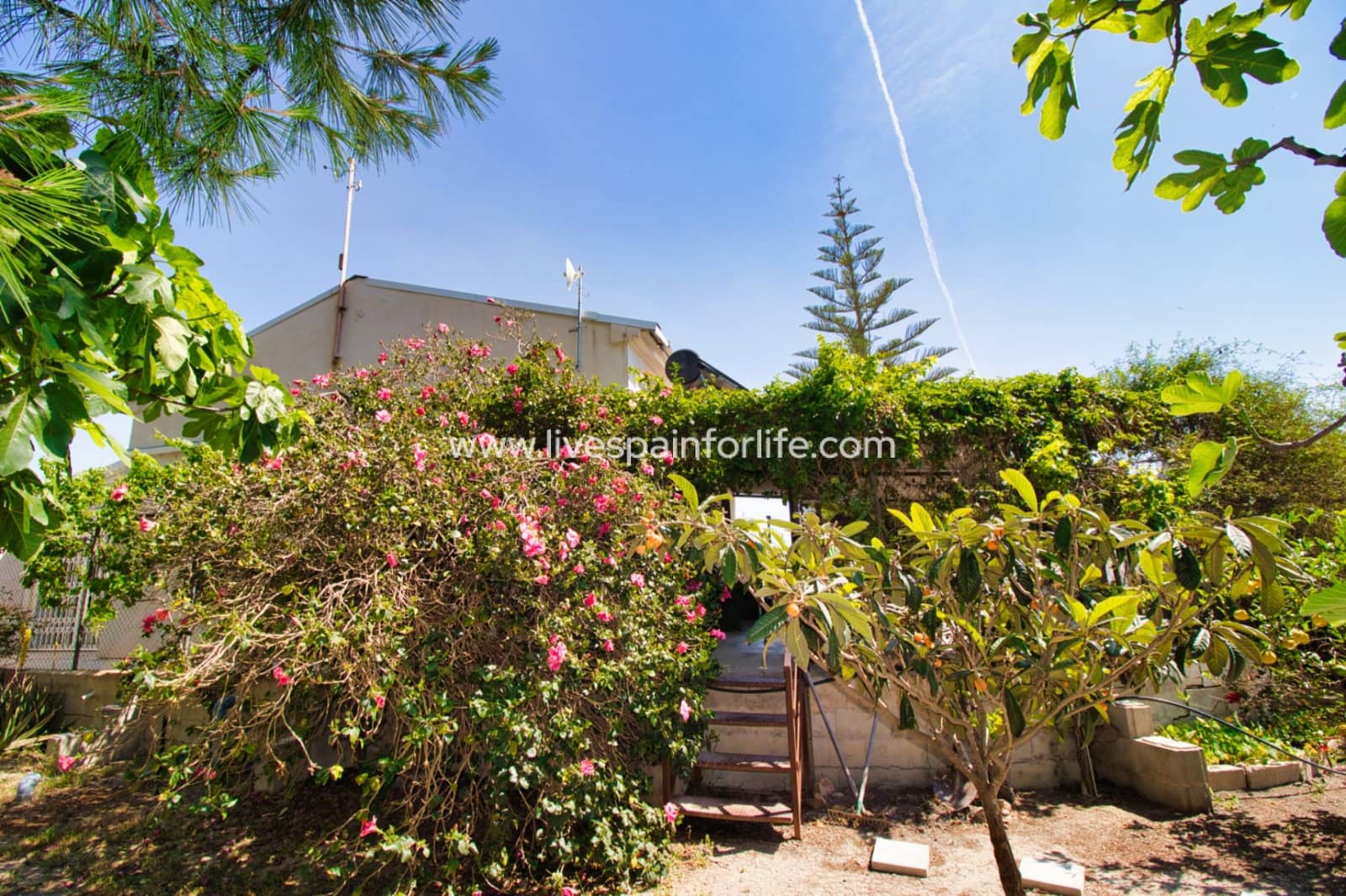 3 chambre Finca/Maison de Campagne à vendre à Dolores avec piscine garage - 495 000 € (Ref: 9713689)