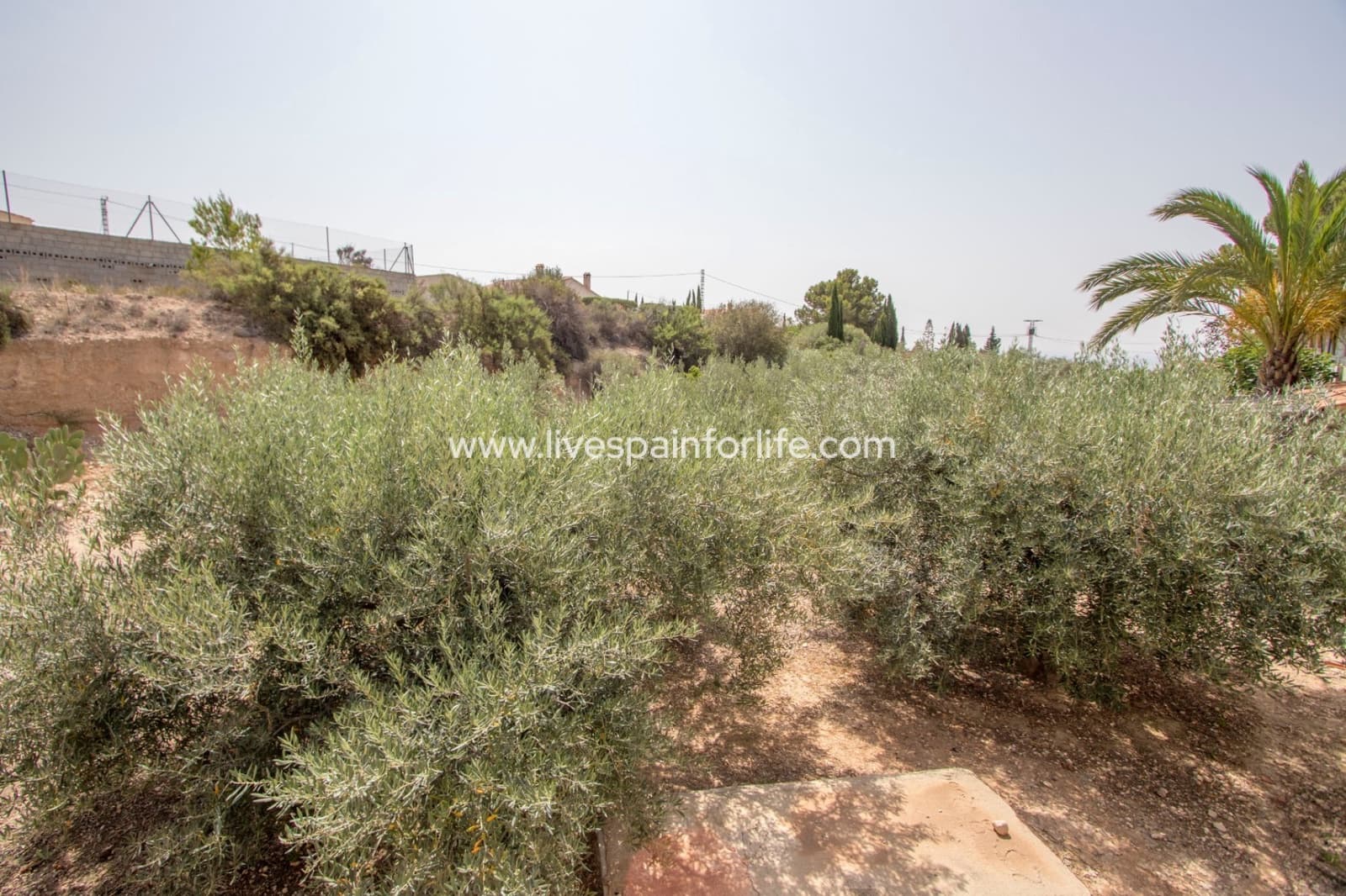 3 camera da letto Finca/Casa di Campagna in vendita in Albatera con piscina garage - 260.000 € (Rif: 9713692)