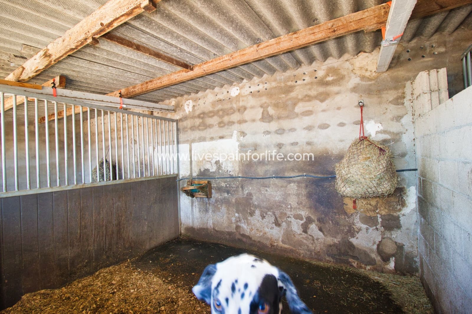 2 bedroom Finca/Country House for sale in Monovar / Monover with pool garage - € 200,000 (Ref: 9713700)