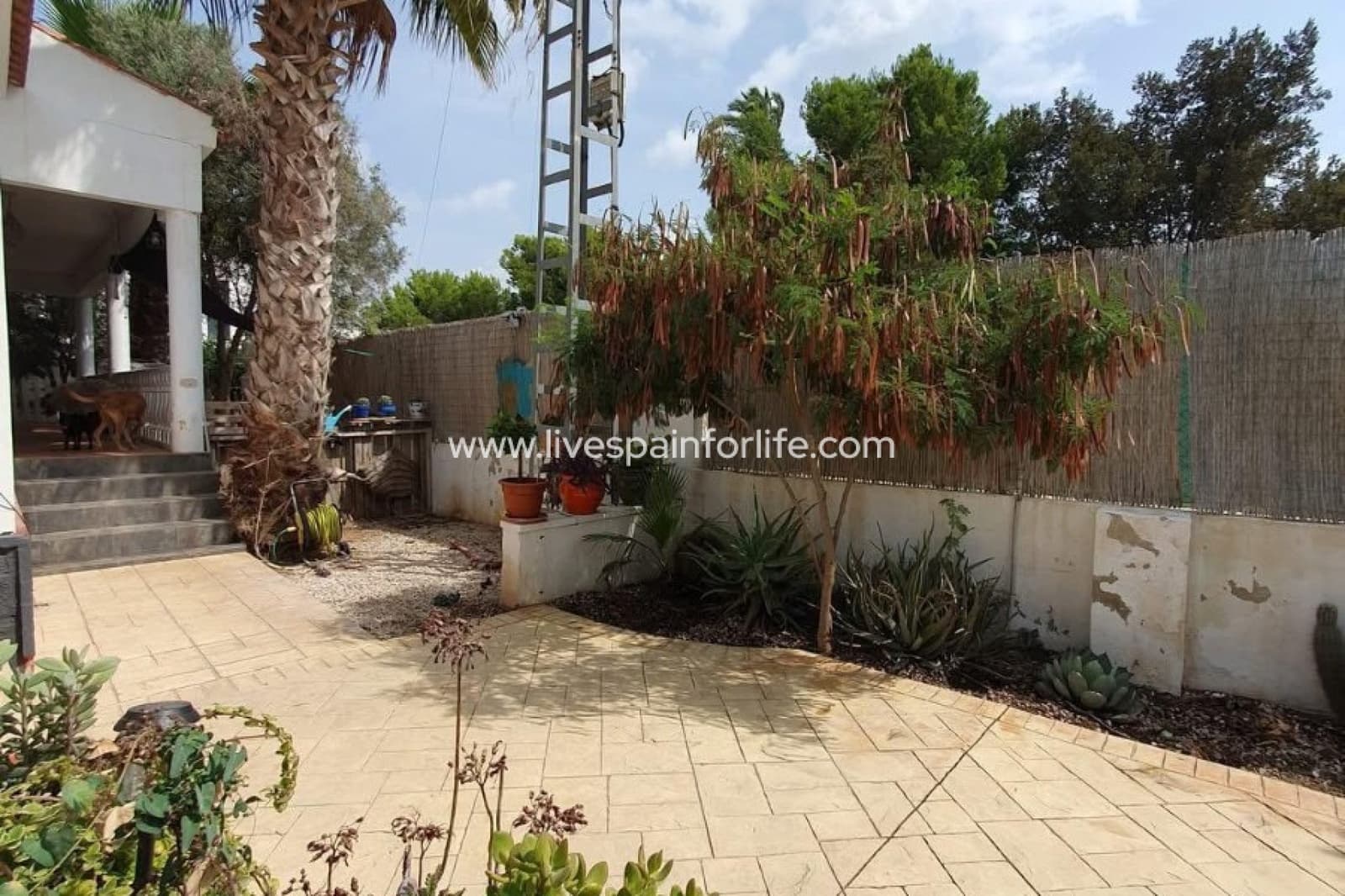 3 chambre Finca/Maison de Campagne à vendre à Catral avec piscine - 265 000 € (Ref: 9715557)