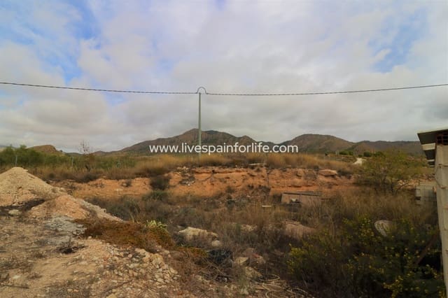 4 bedroom Finca/Country House for sale in Barinas, Abanilla with garage - € 350,000 (Ref: 9715562)